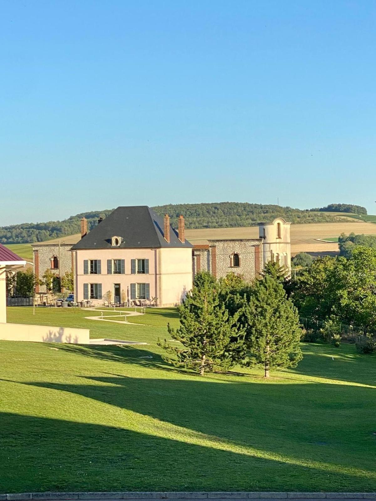 Villa Eulalie - Champagne Edouard Duval B&B Guest House Nestled In The Champagne Area Bligny Exteriér fotografie